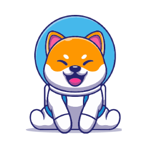 Nasa Doge