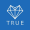 TrueChain icon